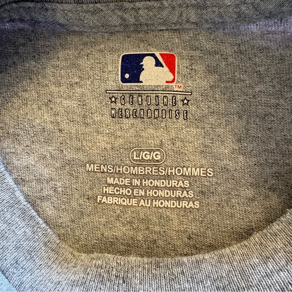 MLB Men’s Arizona Cactus League Spring Training Duck Pond Heather Gray Tee L EUC - Picture 4 of 6